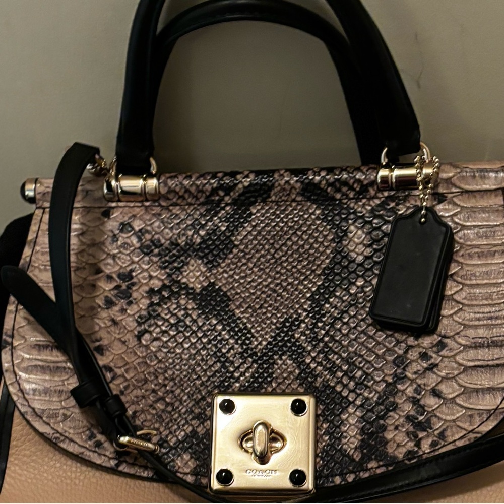 Gorgeous!! Coach Bag With Python Trim! Multiple M… - image 5